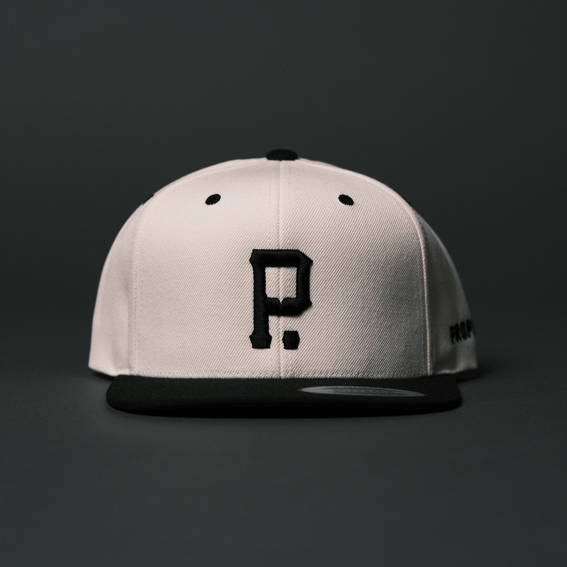 Two-Tone Wool Blend SnapBack Crown | Natural/Black