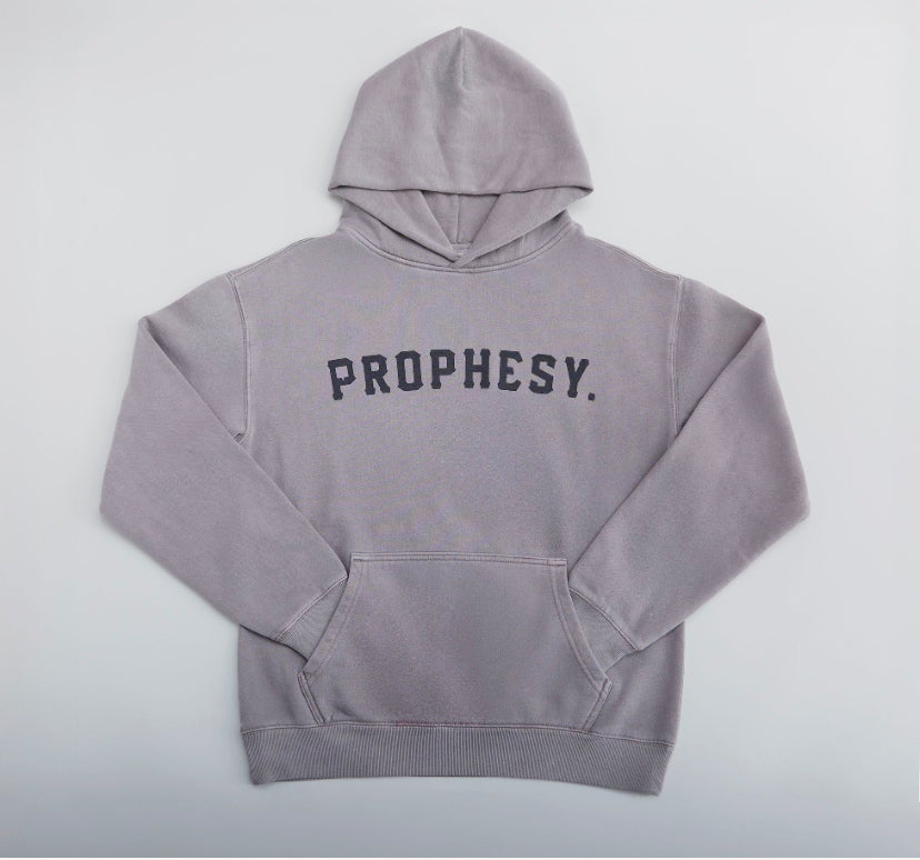 Classic Logo Hoodie