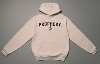 The Revival Will Not Be Televised Hoodie