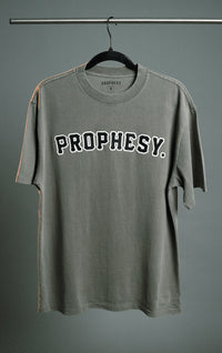Twill Embroidered Logo Tee