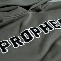 Twill Embroidered Logo Hoodie