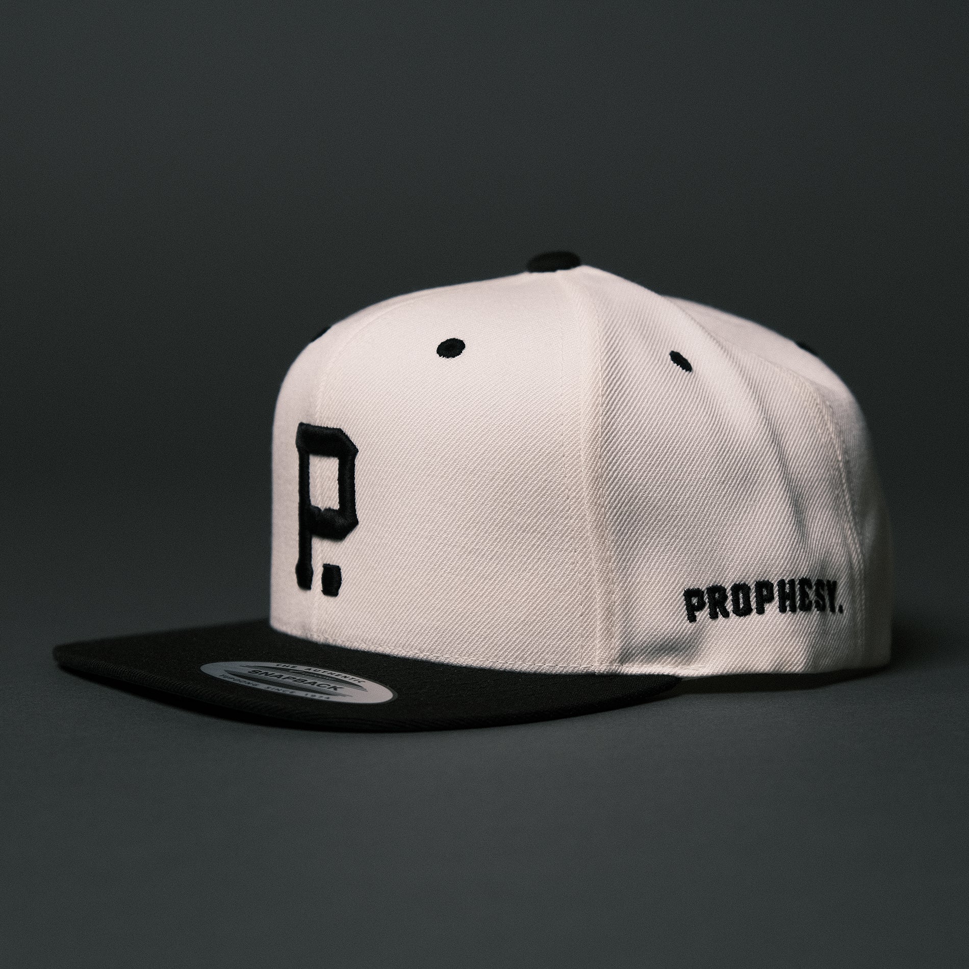 Two-Tone Wool Blend SnapBack Crown | Natural/Black